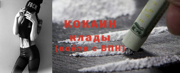 хмурый Абаза