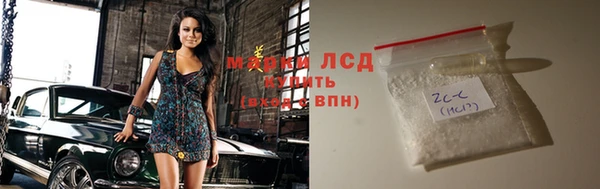 хмурый Абаза