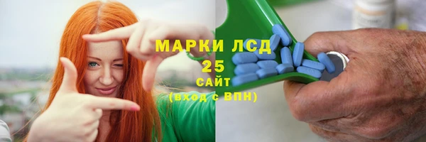 хмурый Абаза