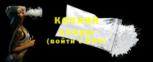 хмурый Абаза