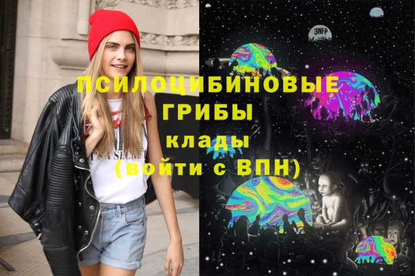 хмурый Абаза