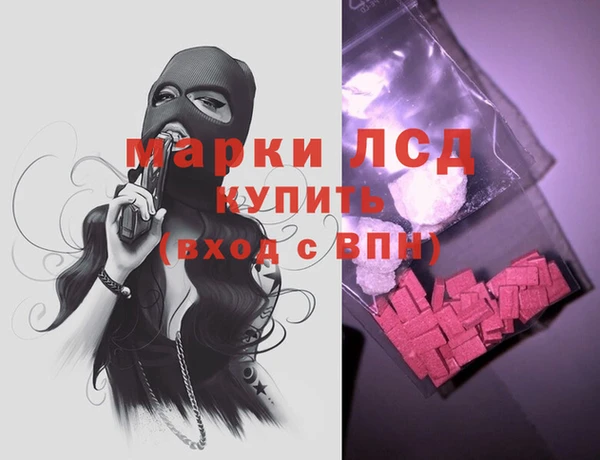хмурый Абаза