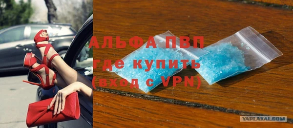 хмурый Абаза