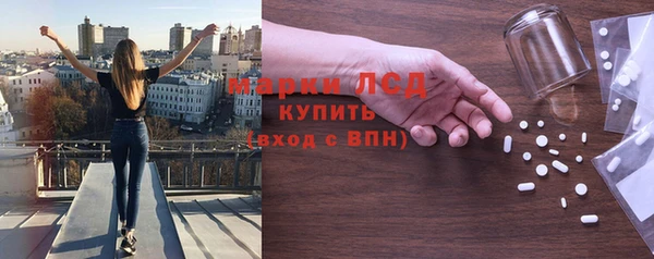 хмурый Абаза