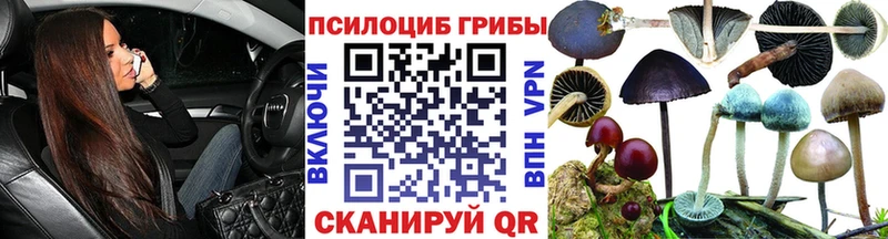 Галлюциногенные грибы прущие грибы  Юрюзань 